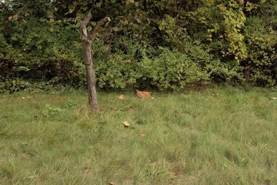 20D 28mm@f5.6