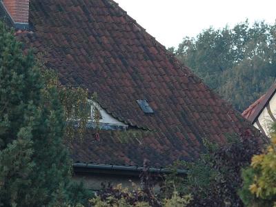 5D 100%crop