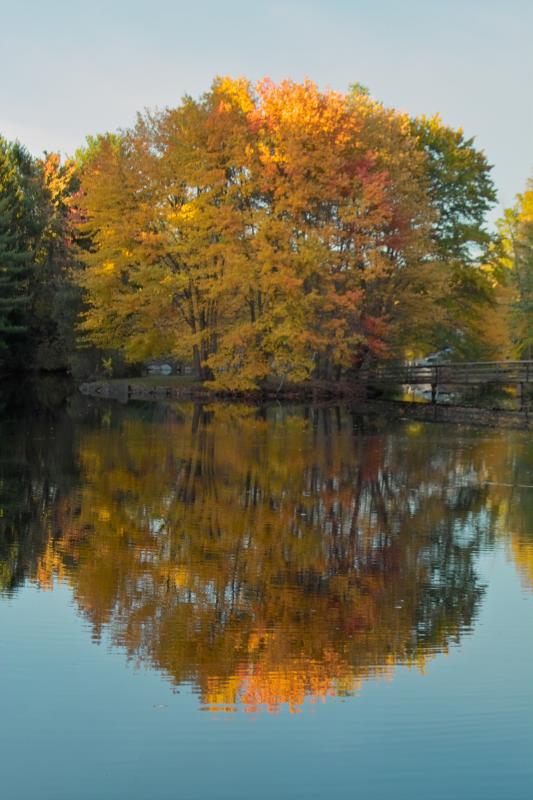 Island in Pond , Bogerts Ranch Estates, Mahwah NJ 1