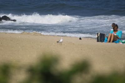 Beach in Ocean Grove