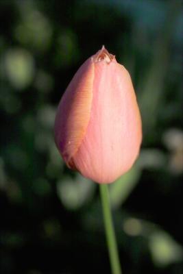 IMG03592.jpg