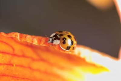 IMG05477.jpg