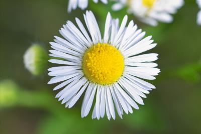 IMG05481.jpg