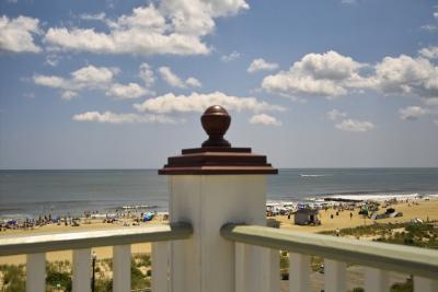 IMG05896.jpg