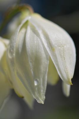 IMG05889.jpg