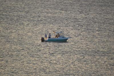 Early morning fishing