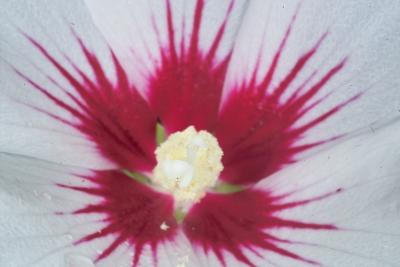 IMG06016.jpg