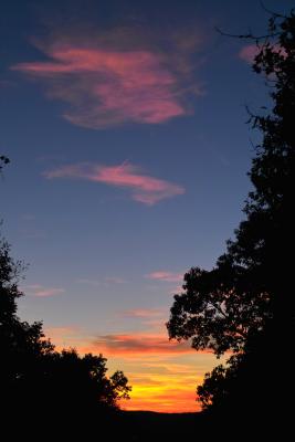 Sunset in Ringwood 1