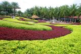 Nong Nooch Tropical Gardens, Pattaya