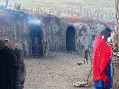 mud huts