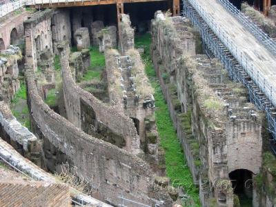Rome Colosseum-Inside 19