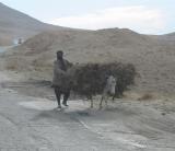 Bagram, Afghanistan