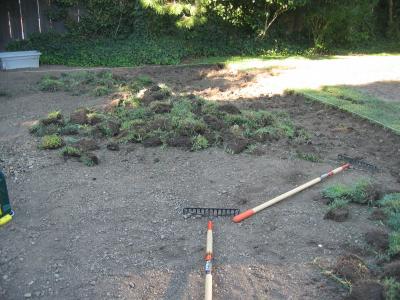 More dug up grass.