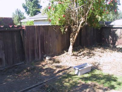Trees - gone!