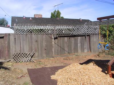 More trees - gone!
