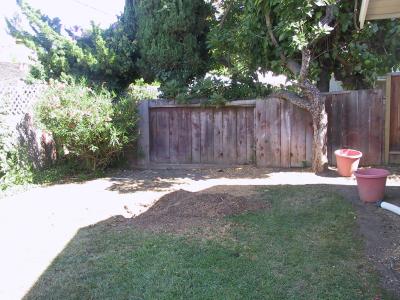 Termite infested cherry tree really had to go.