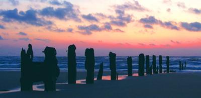 wooden sunrise  - Blyth Beach