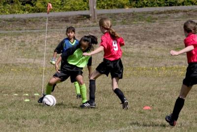 310_1033.jpg