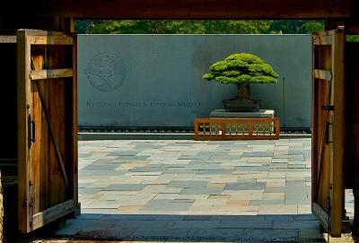 National Arboretum, July 22, 2005