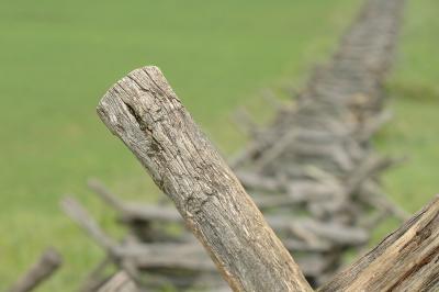 Fence along the Cornfield_14087