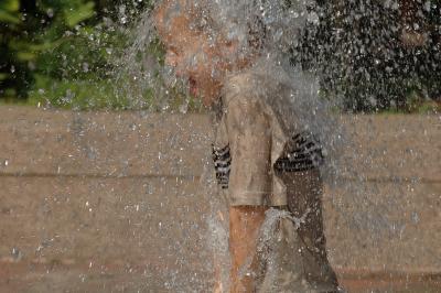 DSC_4503.jpg