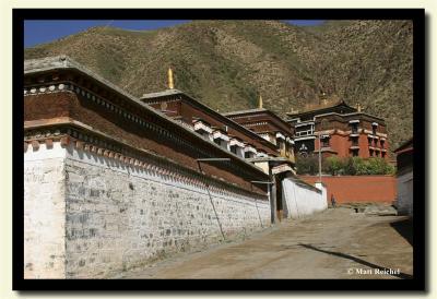 IMG_0869-copy.jpg
