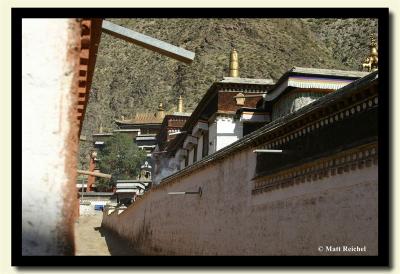 IMG_0871-copy.jpg