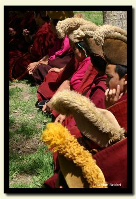 IMG_0914-copy.jpg