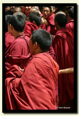 IMG_0941-copy.jpg