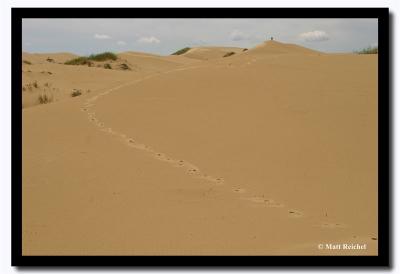 Only Footprints, North Gobi