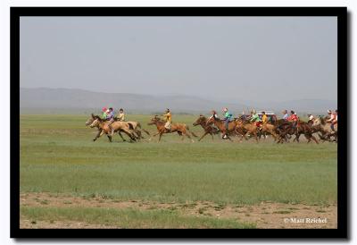 They're Off, Naadam, Kharkhorin