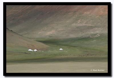 Gers in the Mountain Valley, Khovd Aimag