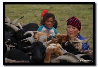 Milking Sheep in the Afternoon, Bayan-Olgii Aimag