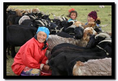 Milking the Goats, Bayan-Olgii