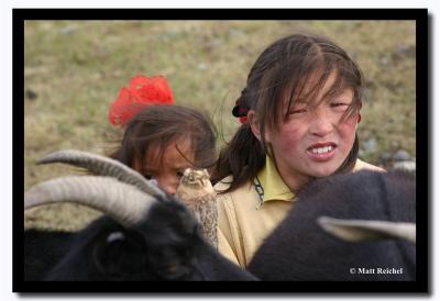 IMG_From behind the Goats, Bayan-Olgii Aimag