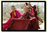 Novice Bon Monks, Gansu-Qinghai-copy.jpg