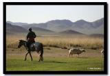 Sheep Hearder, Tov Aimag