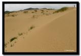Els, North Gobi