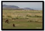 Steppe, Tov Aimag