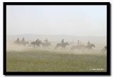 Stallion Race, Naadam, Kharkhorin