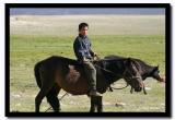 Herding Boy, Altai Tavanbogd National Park