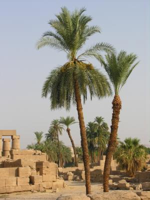 Karnak Temple