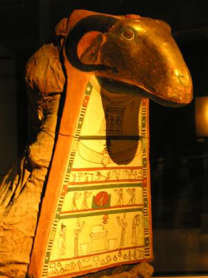 Mummification Museum Luxor