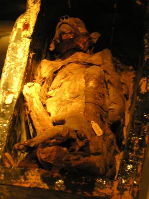 Mummification Museum Luxor