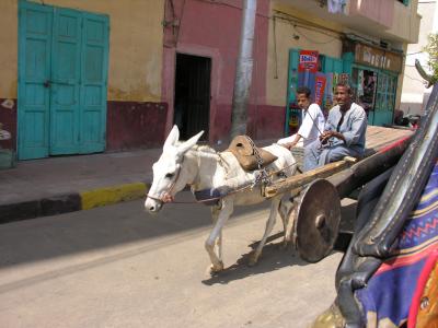 Edfu