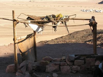 Sinai