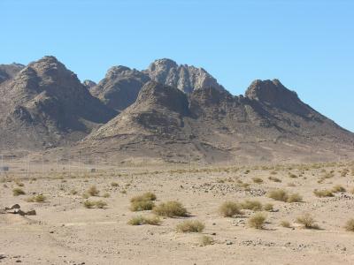 Sinai
