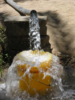 Feiran Oasis