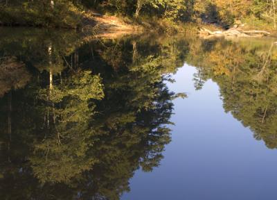 Reflections