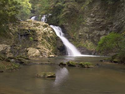 v3/61/350761/3/51810923.LowerBrasstownFalls.jpg